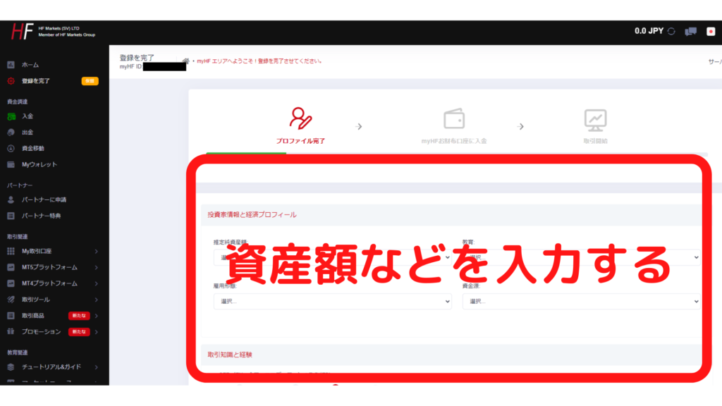 HotForex資産額などの入力